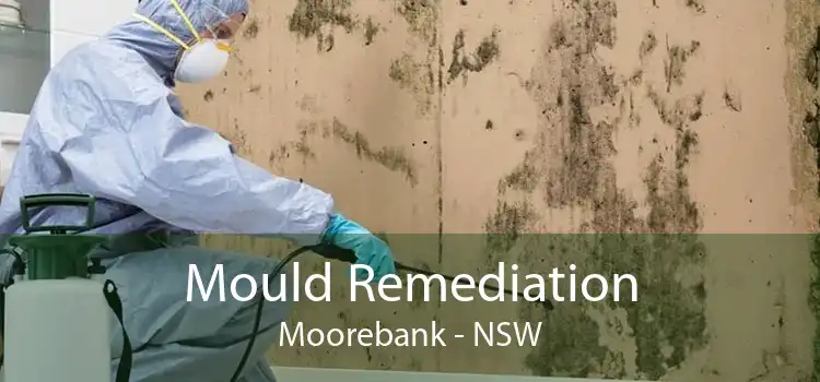 Mould Remediation Moorebank - NSW