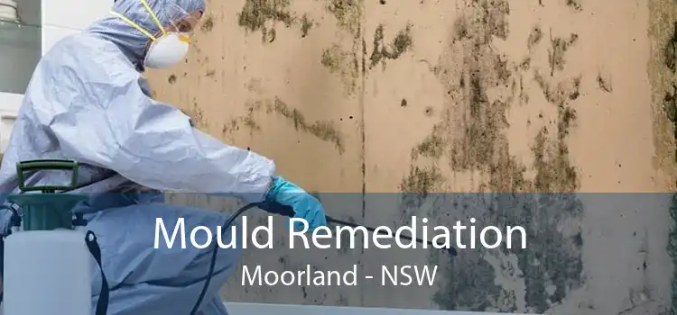 Mould Remediation Moorland - NSW