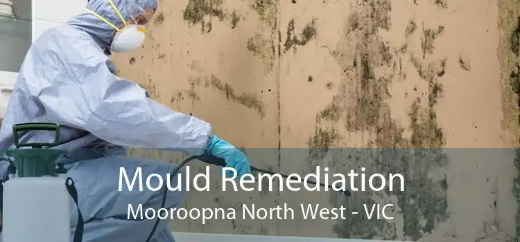 Mould Remediation Mooroopna North West - VIC
