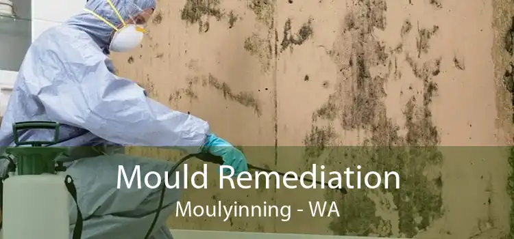 Mould Remediation Moulyinning - WA