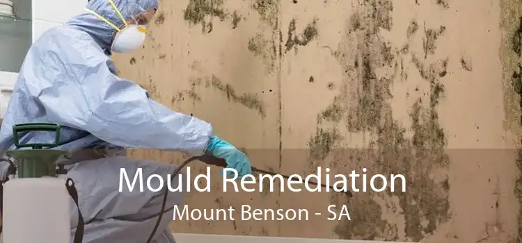 Mould Remediation Mount Benson - SA