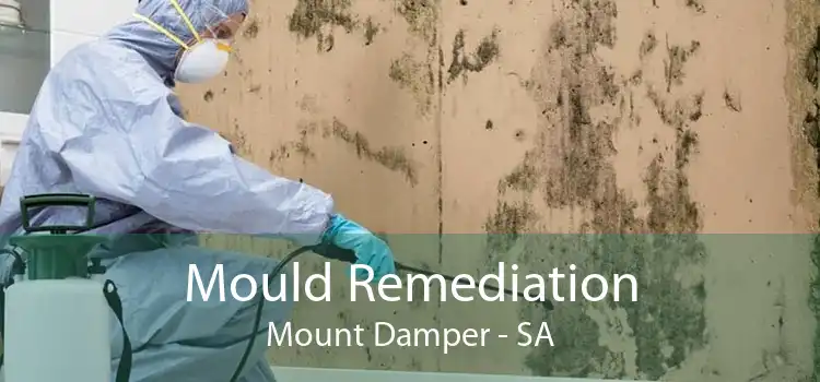 Mould Remediation Mount Damper - SA