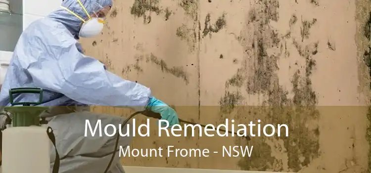 Mould Remediation Mount Frome - NSW