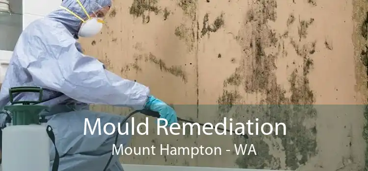 Mould Remediation Mount Hampton - WA