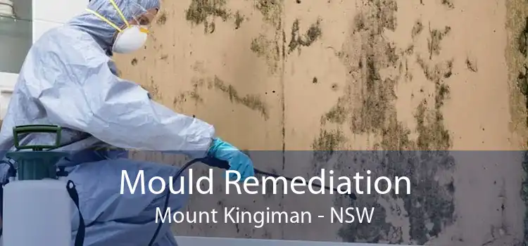 Mould Remediation Mount Kingiman - NSW