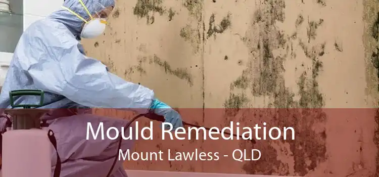 Mould Remediation Mount Lawless - QLD