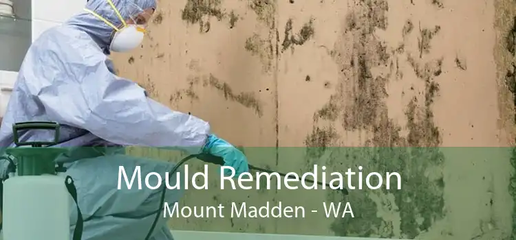 Mould Remediation Mount Madden - WA