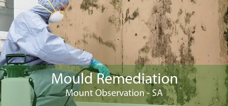 Mould Remediation Mount Observation - SA