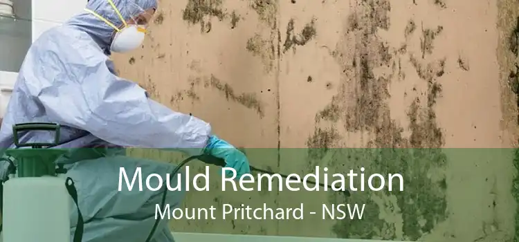 Mould Remediation Mount Pritchard - NSW