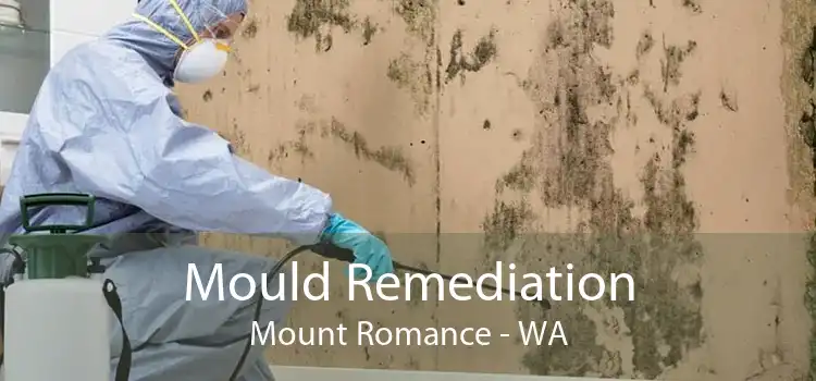 Mould Remediation Mount Romance - WA