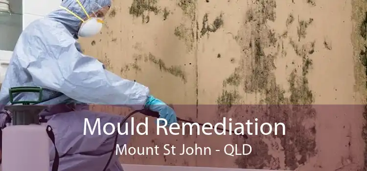 Mould Remediation Mount St John - QLD