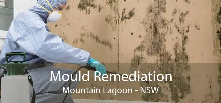 Mould Remediation Mountain Lagoon - NSW