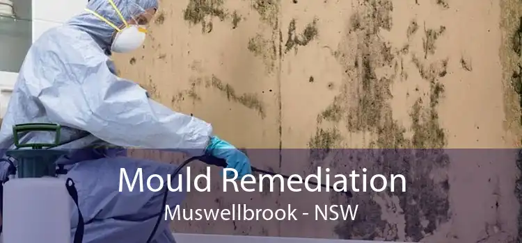 Mould Remediation Muswellbrook - NSW