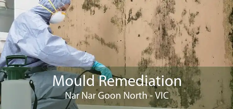 Mould Remediation Nar Nar Goon North - VIC