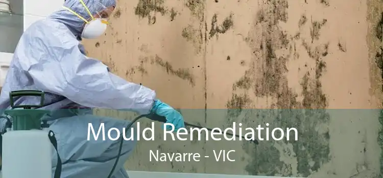 Mould Remediation Navarre - VIC
