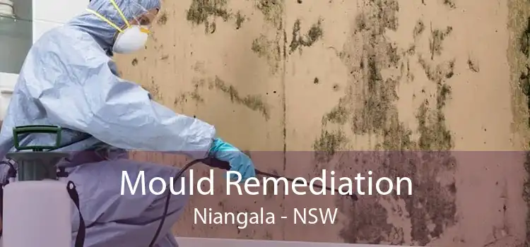 Mould Remediation Niangala - NSW