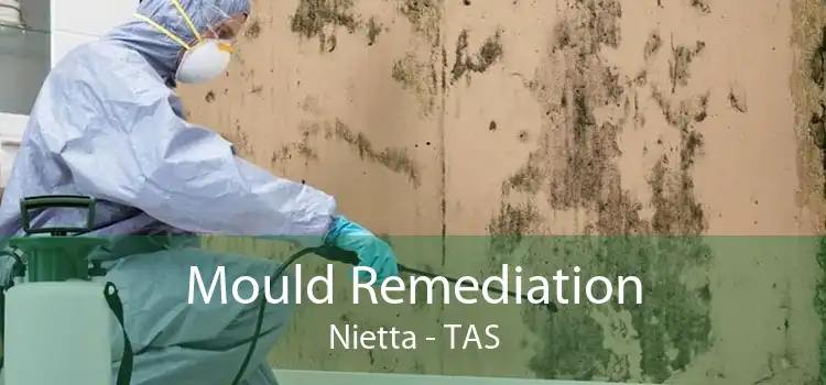 Mould Remediation Nietta - TAS