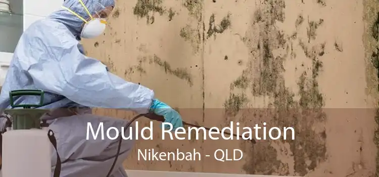 Mould Remediation Nikenbah - QLD