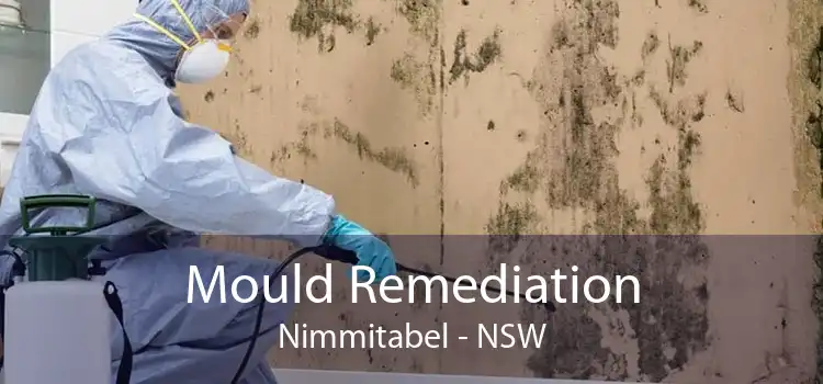 Mould Remediation Nimmitabel - NSW