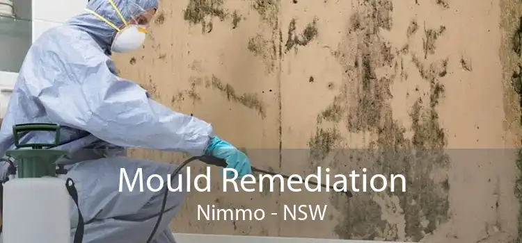 Mould Remediation Nimmo - NSW