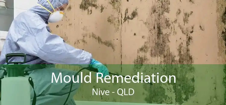Mould Remediation Nive - QLD
