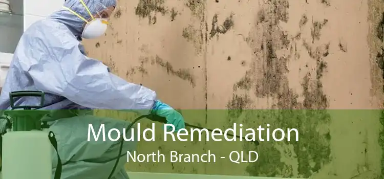 Mould Remediation North Branch - QLD