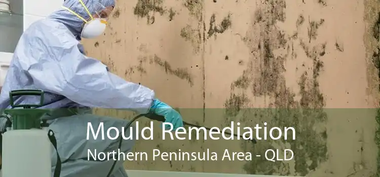 Mould Remediation Northern Peninsula Area - QLD
