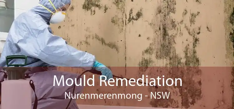 Mould Remediation Nurenmerenmong - NSW