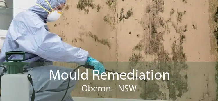 Mould Remediation Oberon - NSW