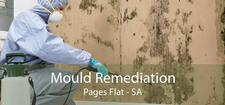 Mould Remediation Pages Flat - SA