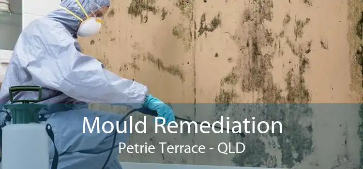 Mould Remediation Petrie Terrace - QLD