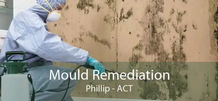 Mould Remediation Phillip - ACT