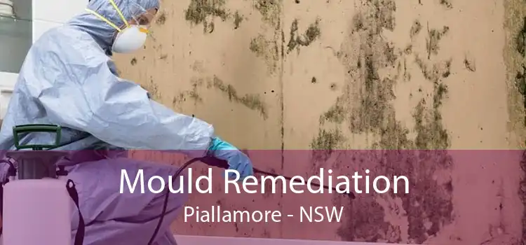 Mould Remediation Piallamore - NSW
