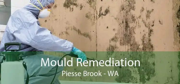 Mould Remediation Piesse Brook - WA