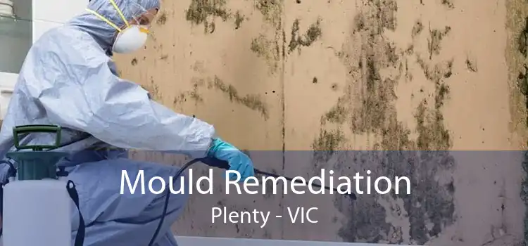 Mould Remediation Plenty - VIC