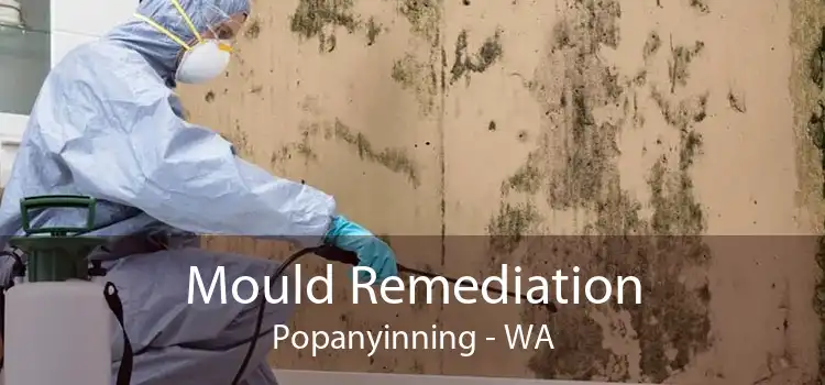 Mould Remediation Popanyinning - WA