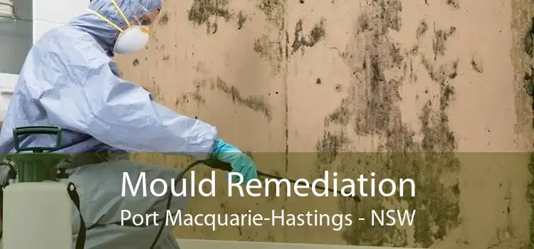 Mould Remediation Port Macquarie-Hastings - NSW