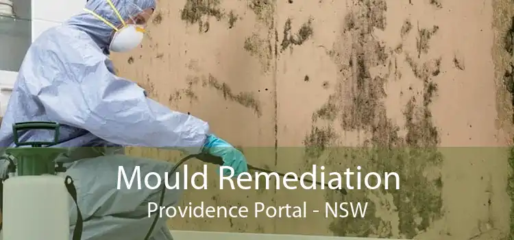 Mould Remediation Providence Portal - NSW