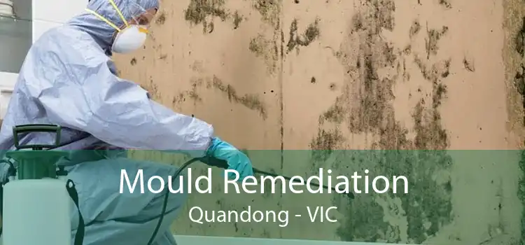 Mould Remediation Quandong - VIC