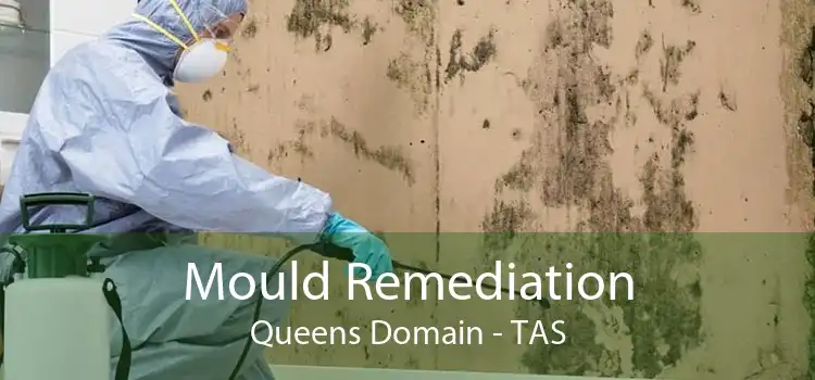 Mould Remediation Queens Domain - TAS