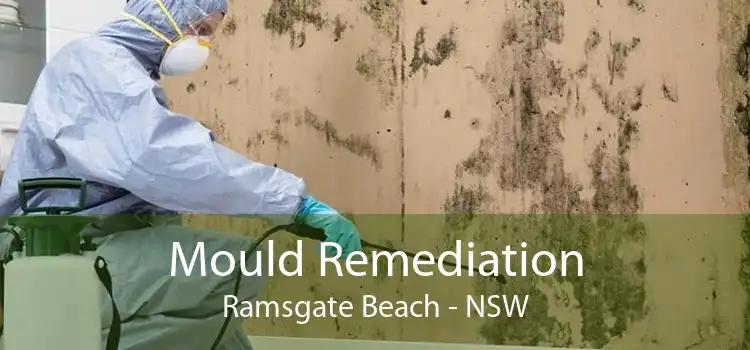 Mould Remediation Ramsgate Beach - NSW