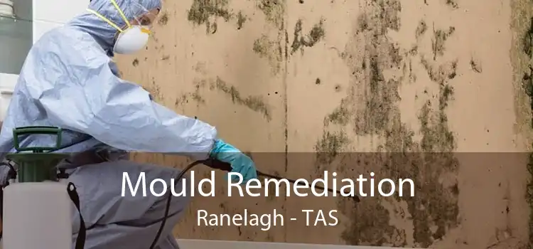 Mould Remediation Ranelagh - TAS