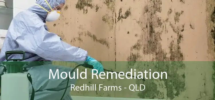 Mould Remediation Redhill Farms - QLD