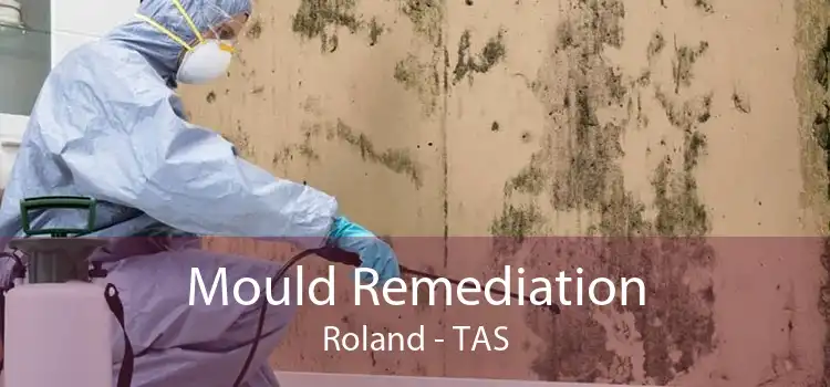 Mould Remediation Roland - TAS
