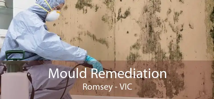 Mould Remediation Romsey - VIC