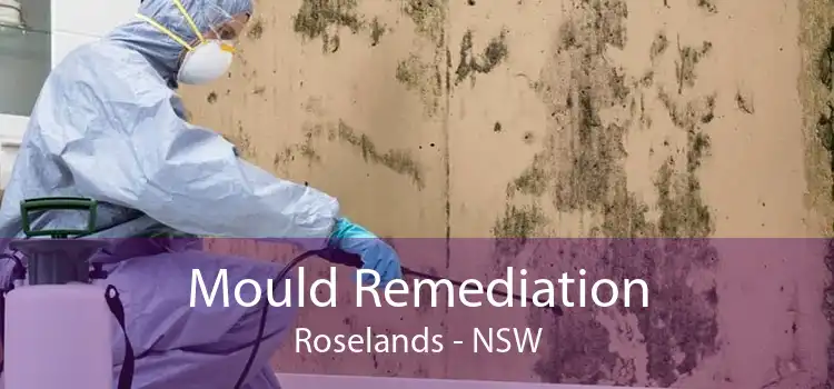 Mould Remediation Roselands - NSW