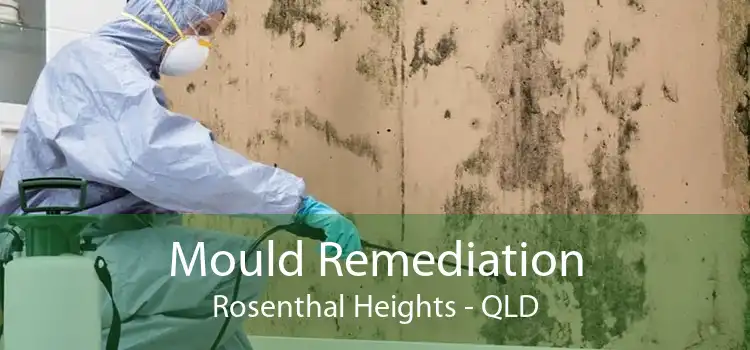 Mould Remediation Rosenthal Heights - QLD