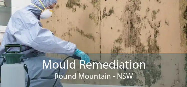 Mould Remediation Round Mountain - NSW