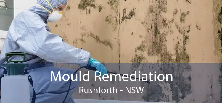 Mould Remediation Rushforth - NSW