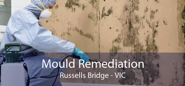 Mould Remediation Russells Bridge - VIC